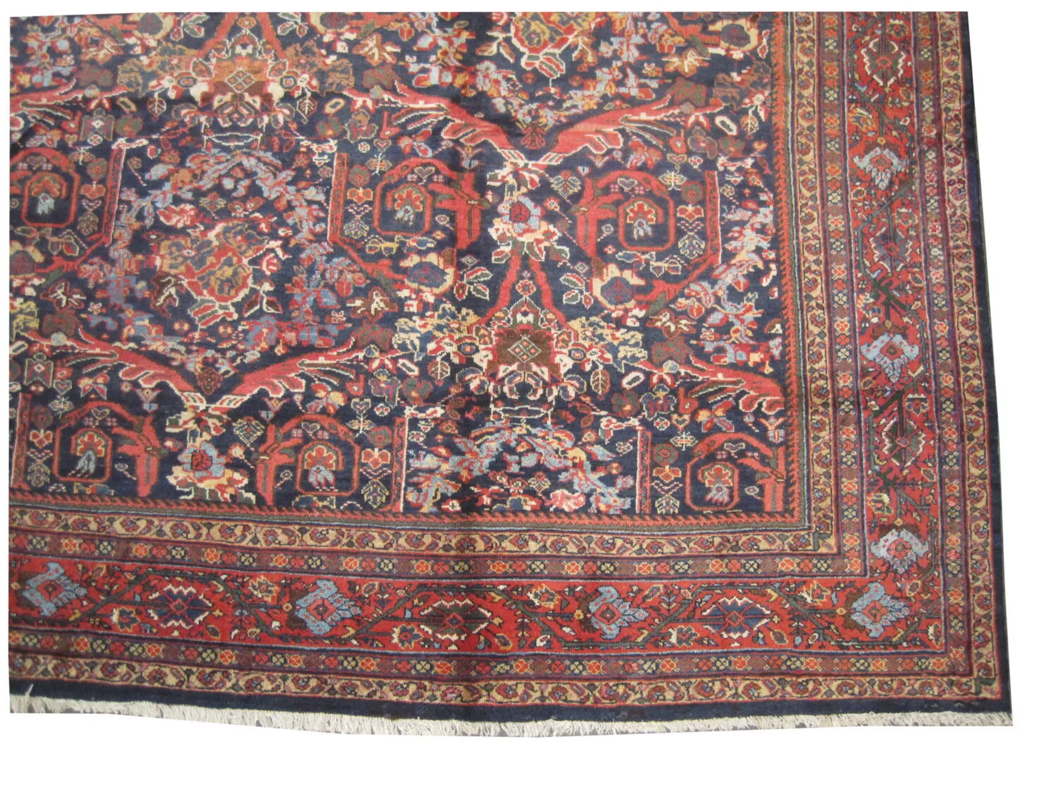 Mahal Persian - Image 4