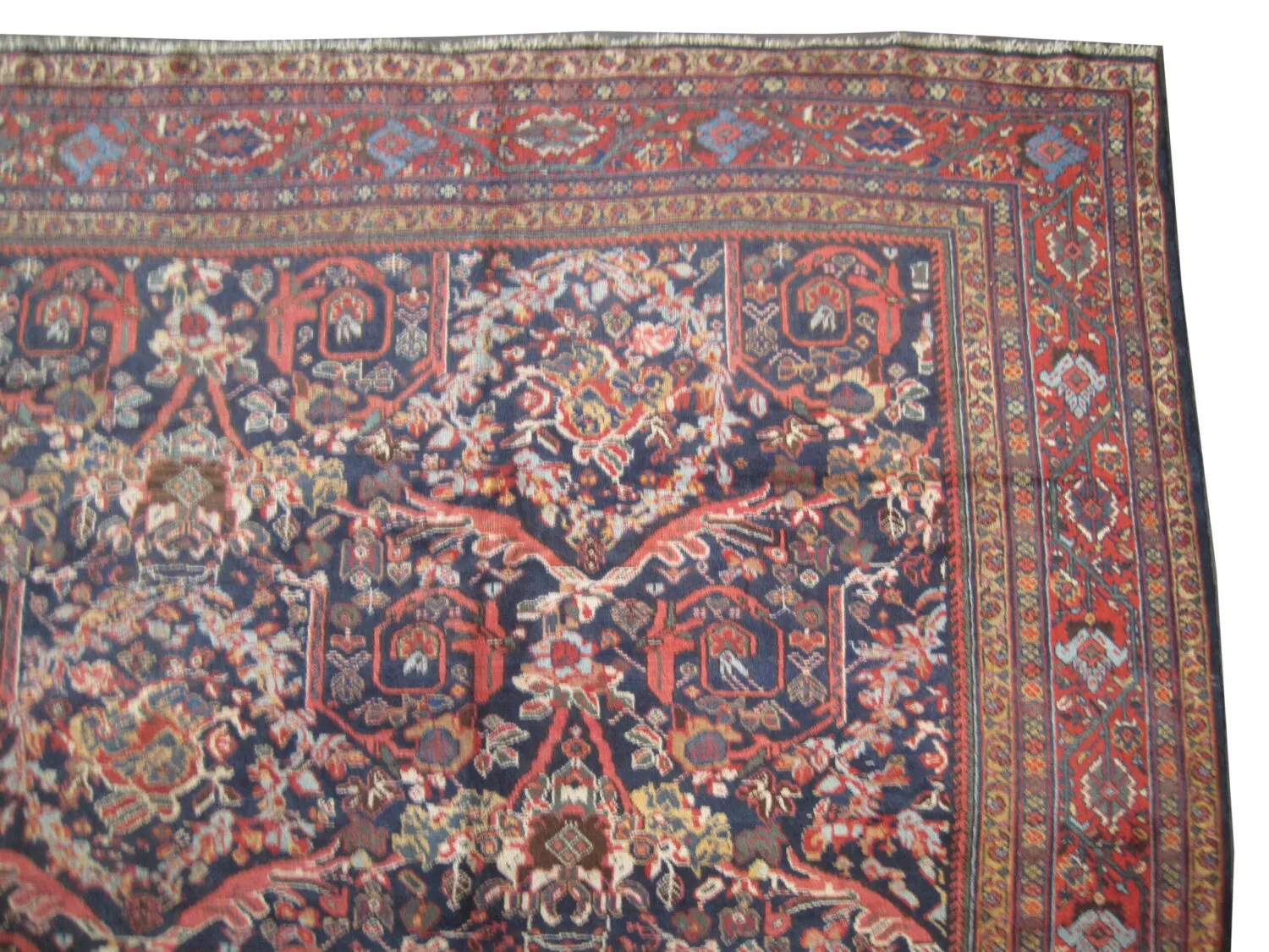 Mahal Persian - Image 2