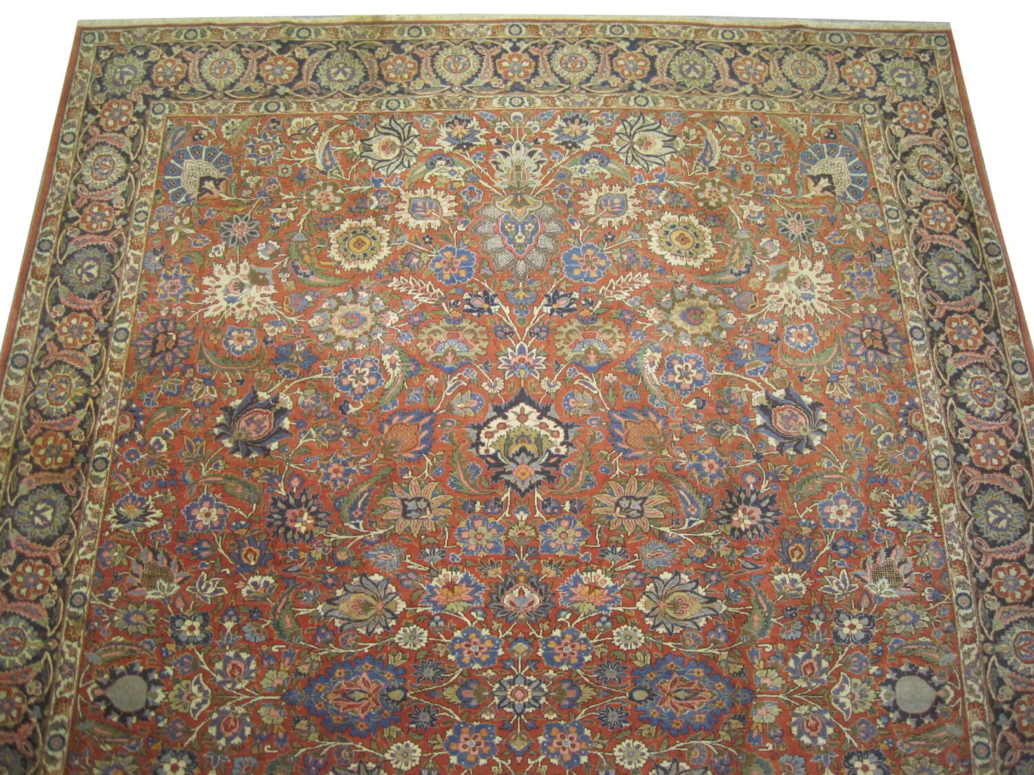 Kashan Persian - Image 2