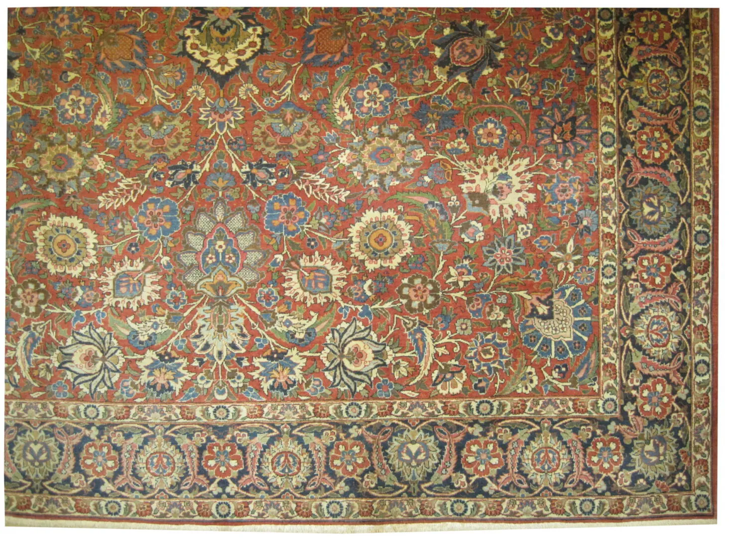 Kashan Persian - Image 5