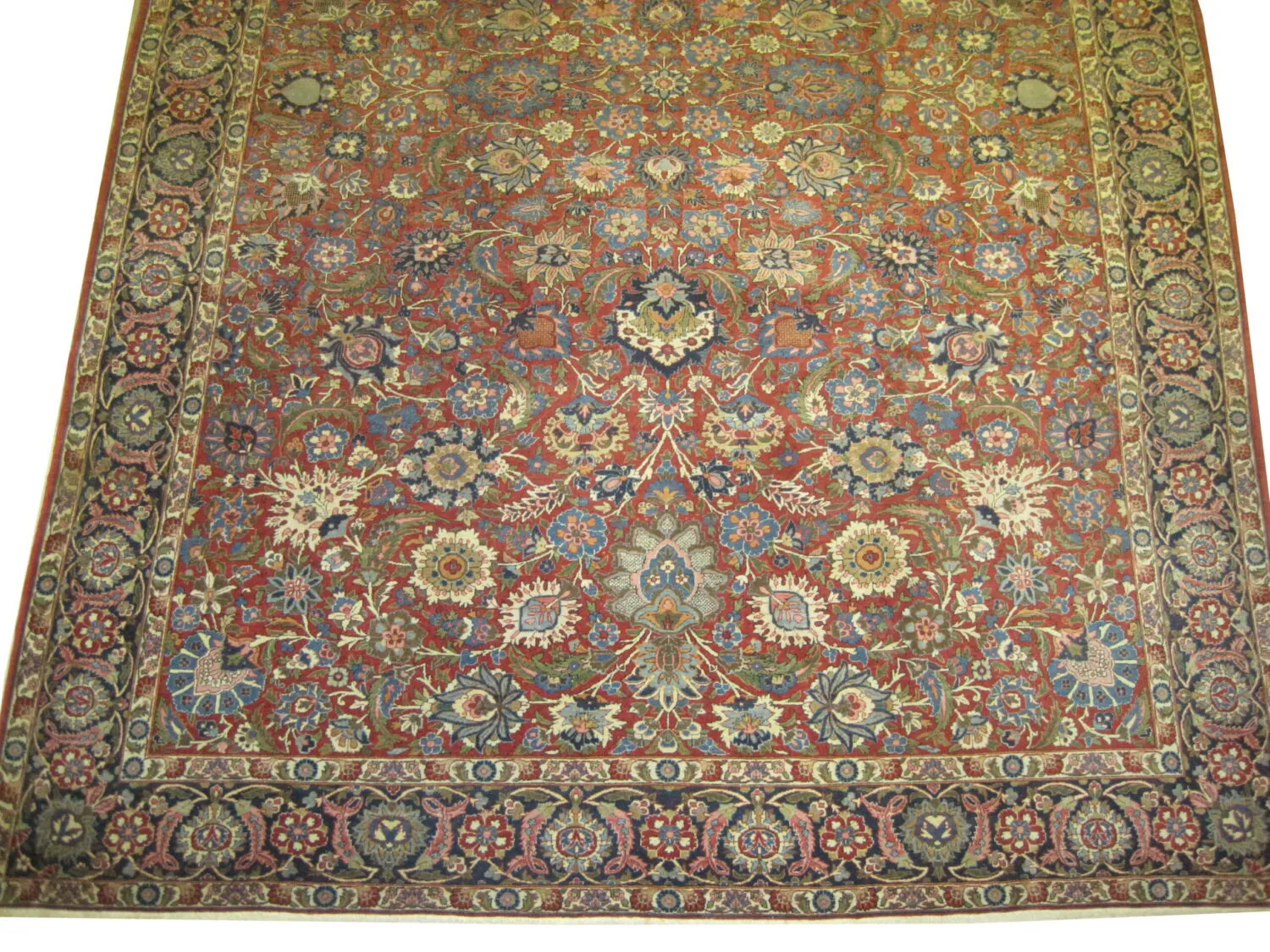Kashan Persian - Image 3