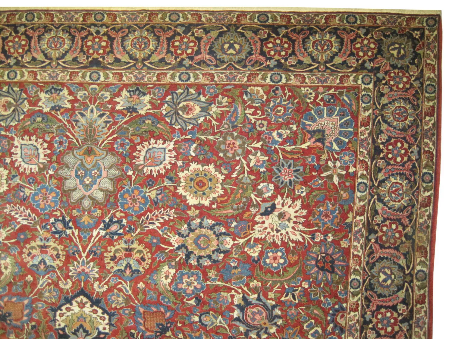 Kashan Persian - Image 4