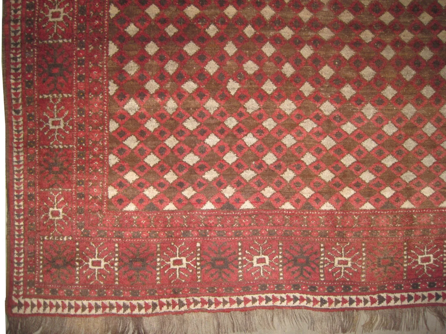 Kizil Ayak Turkmen - Image 4