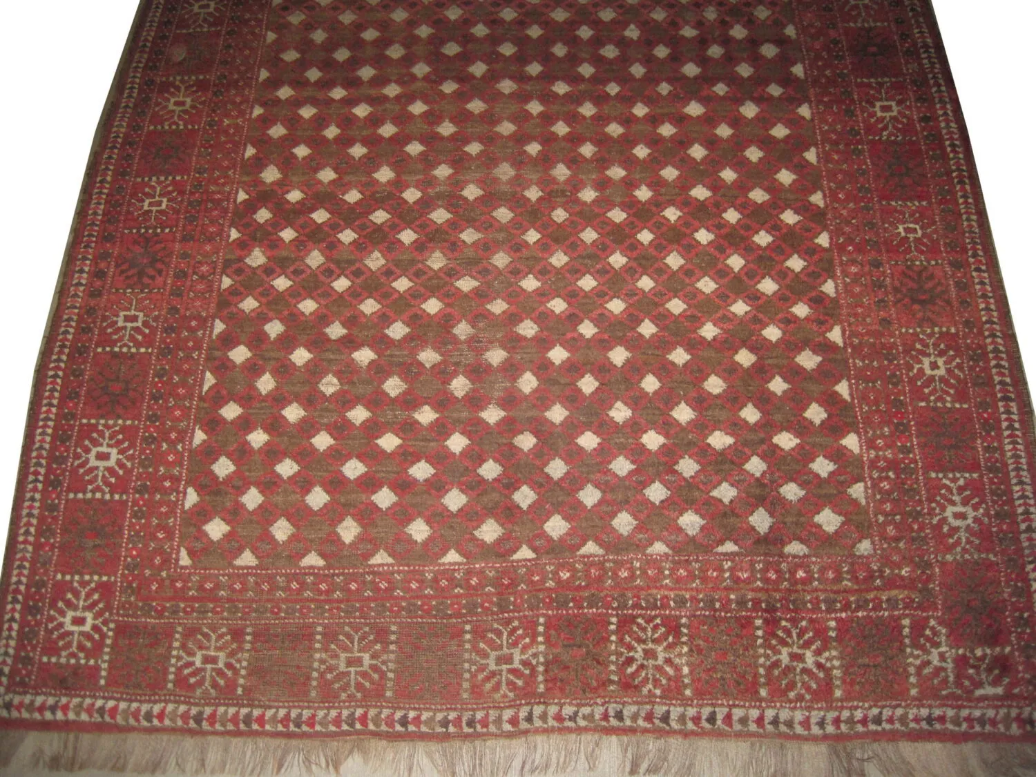 Kizil Ayak Turkmen - Image 3