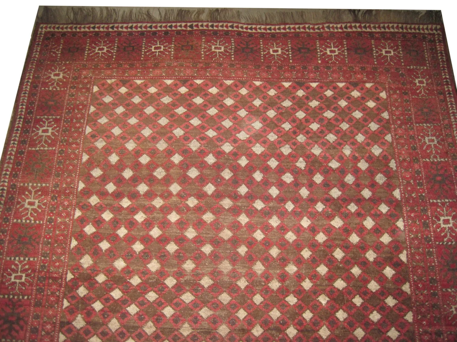 Kizil Ayak Turkmen - Image 2