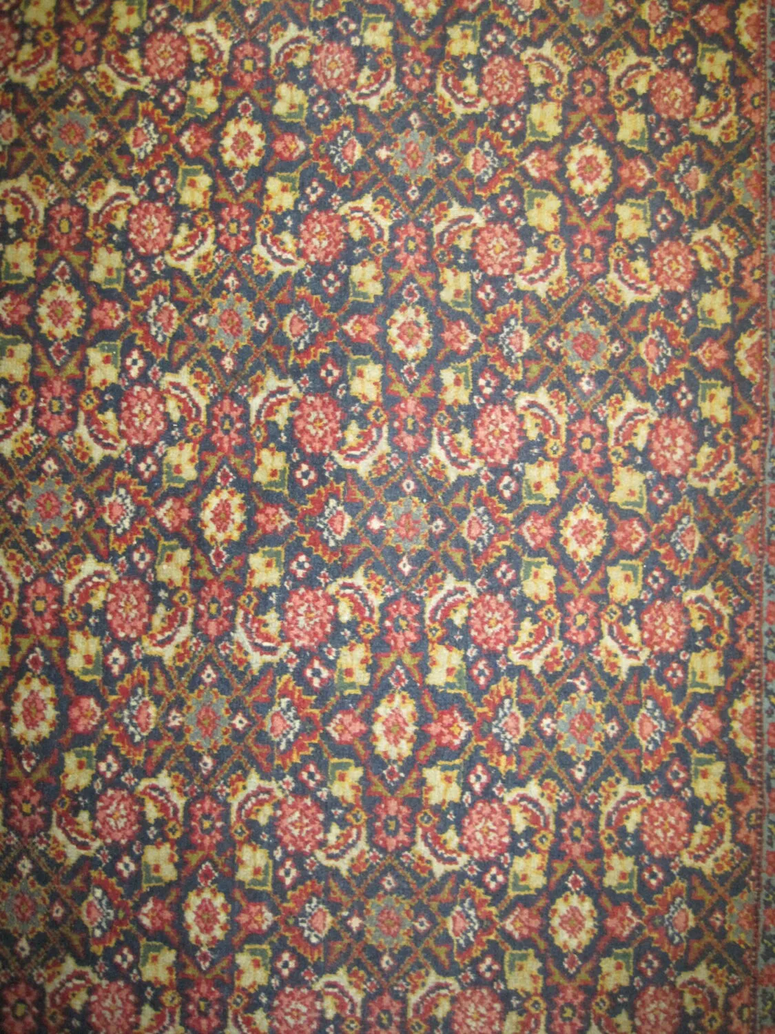 Senneh Persian - Image 2