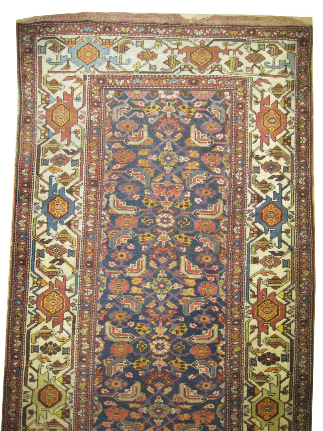 Malaier Persian - Image 3