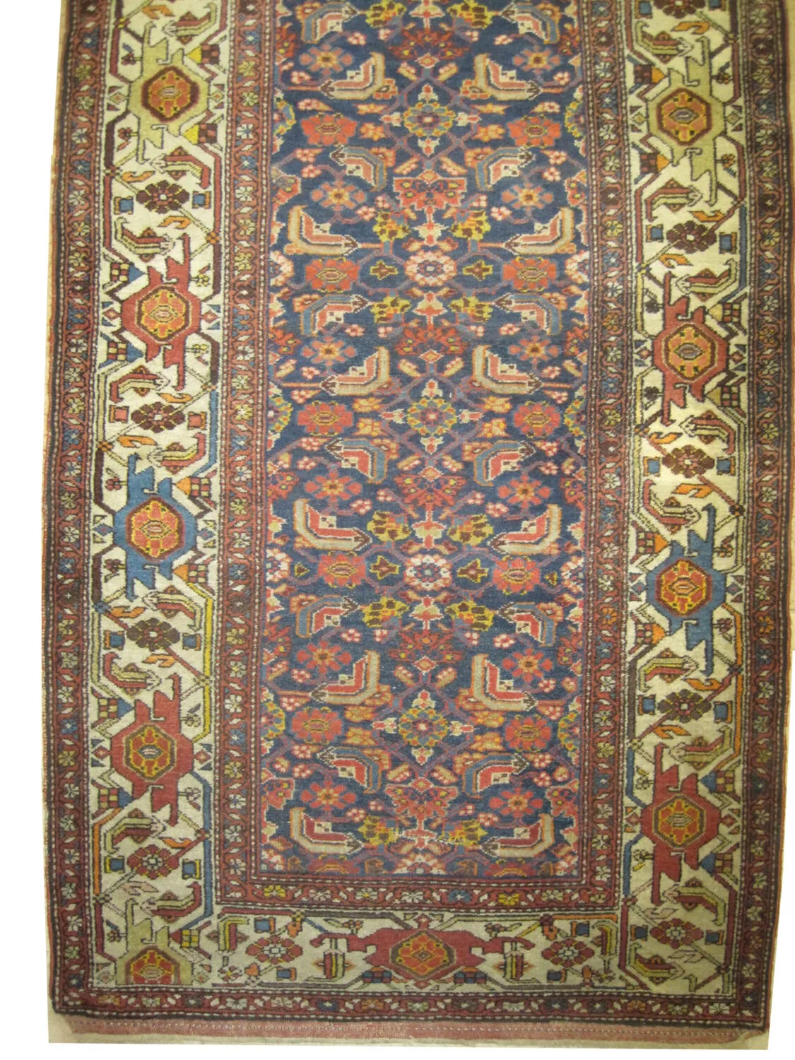 Malaier Persian - Image 2