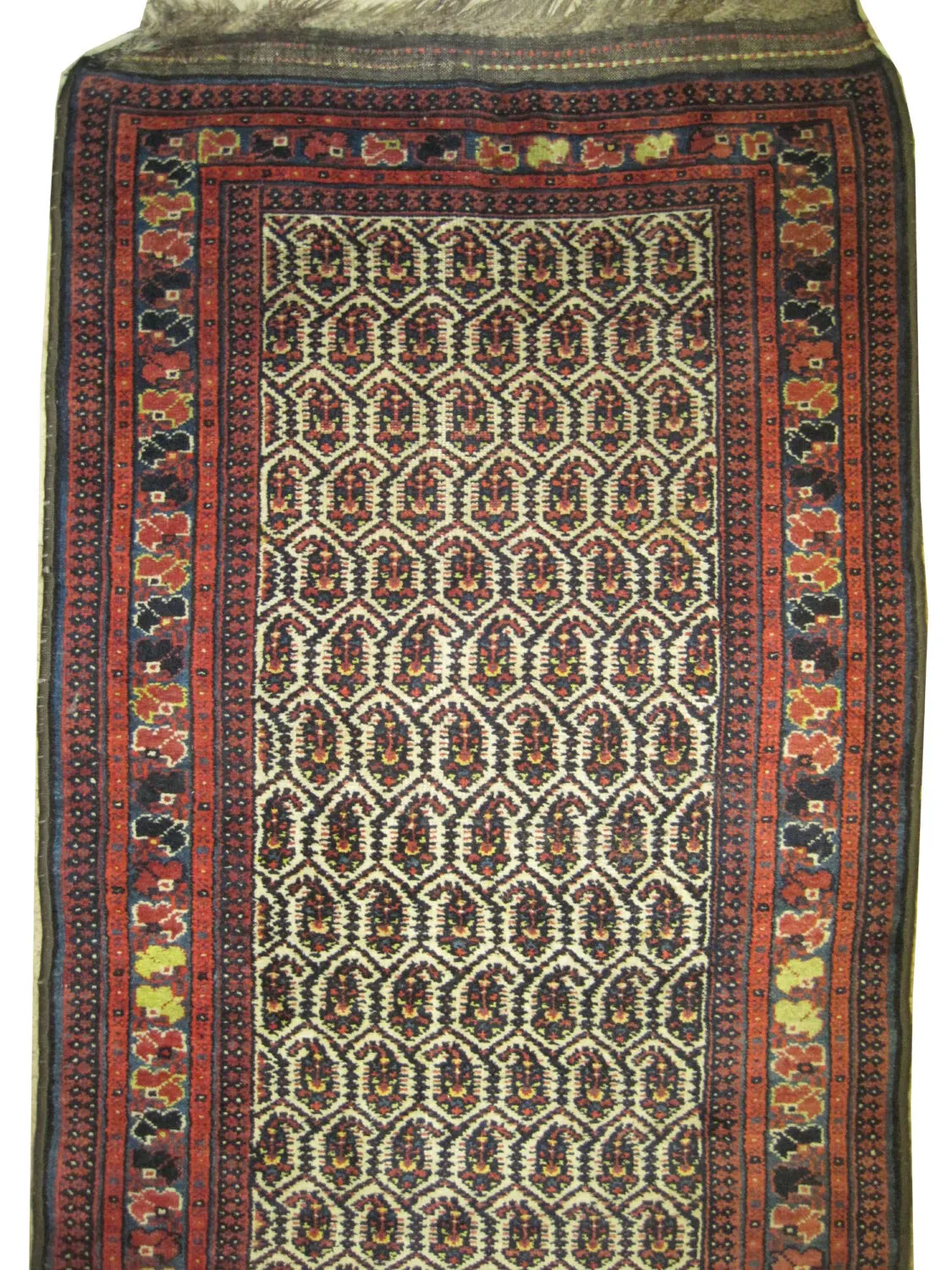 Veramin Louri Persian - Image 2