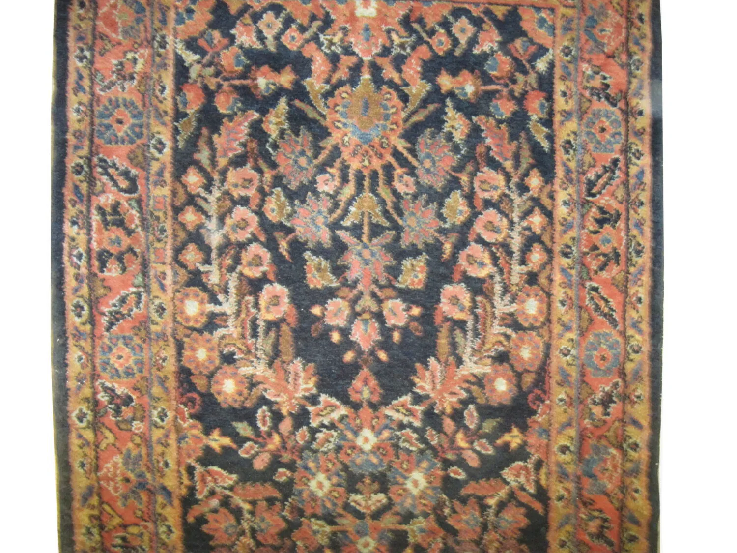 Enjilaz Persian - Image 3