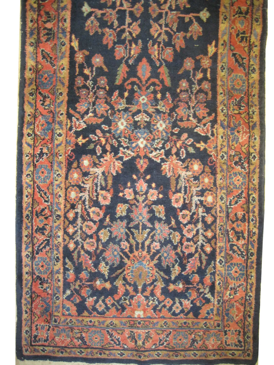 Enjilaz Persian - Image 2