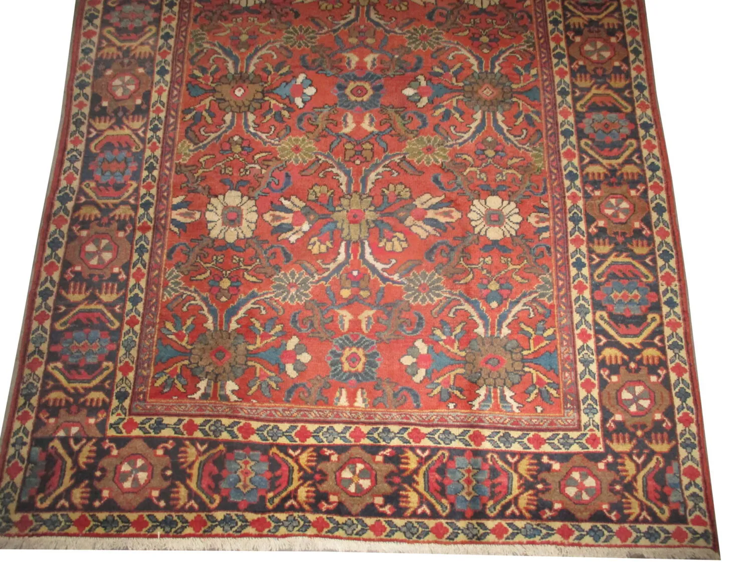 Mahal Persian - Image 4
