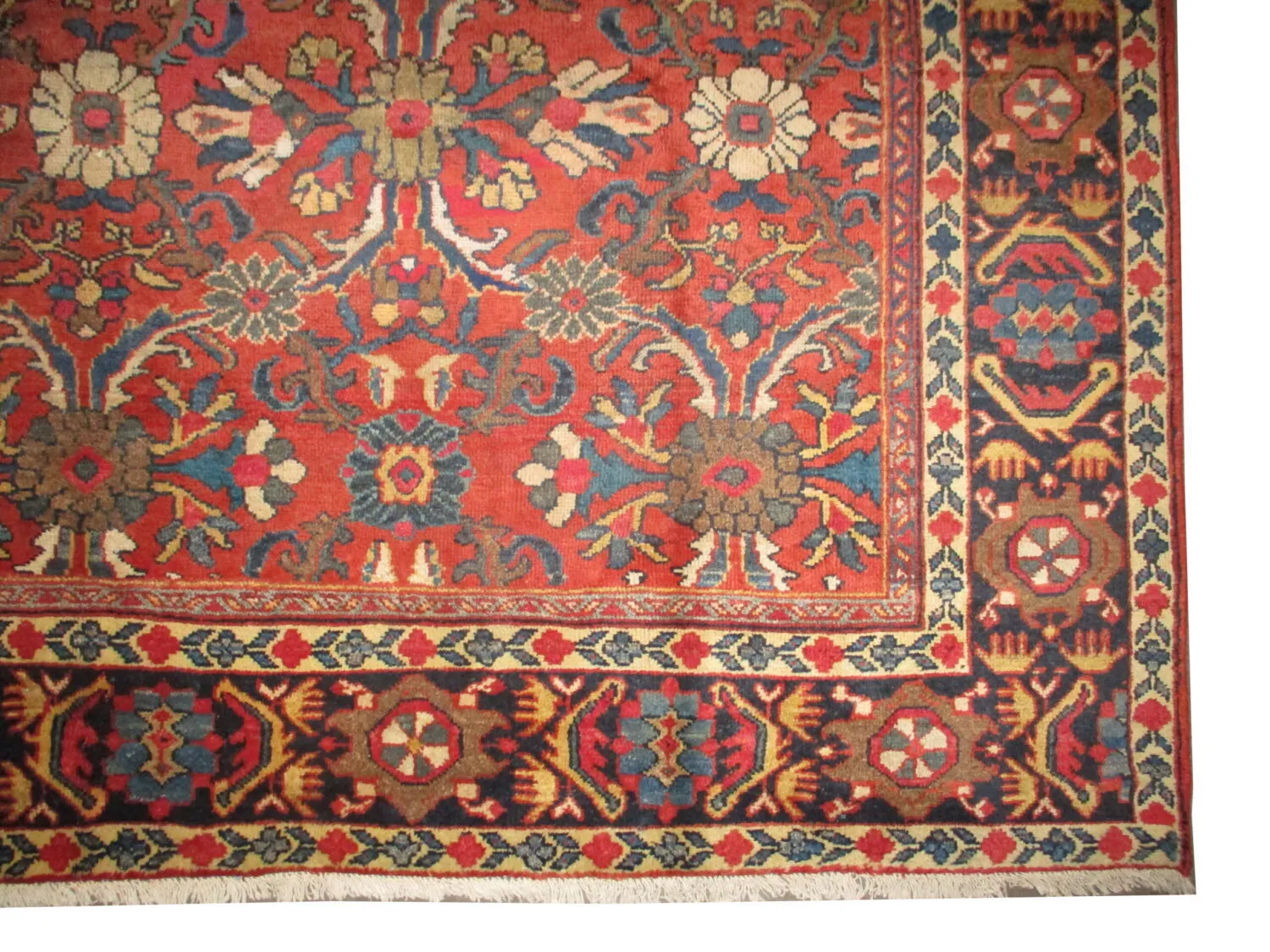Mahal Persian - Image 3
