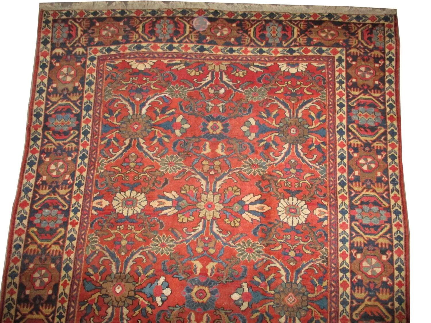 Mahal Persian - Image 2