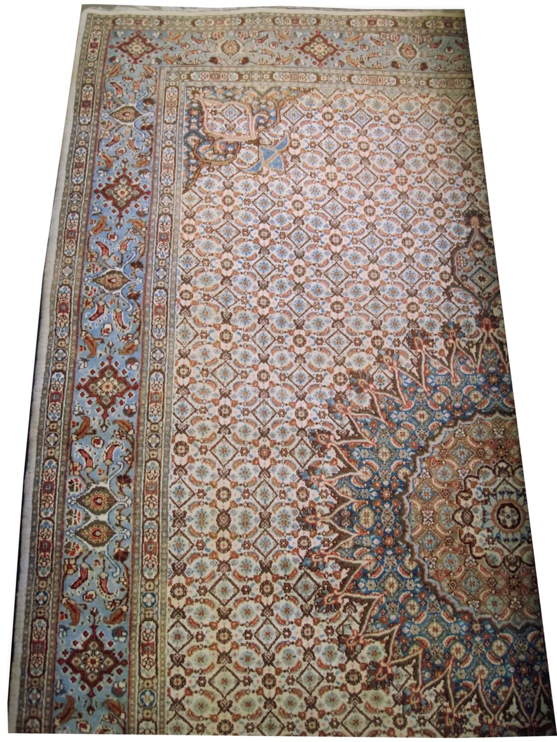 Mud Persian - Image 3