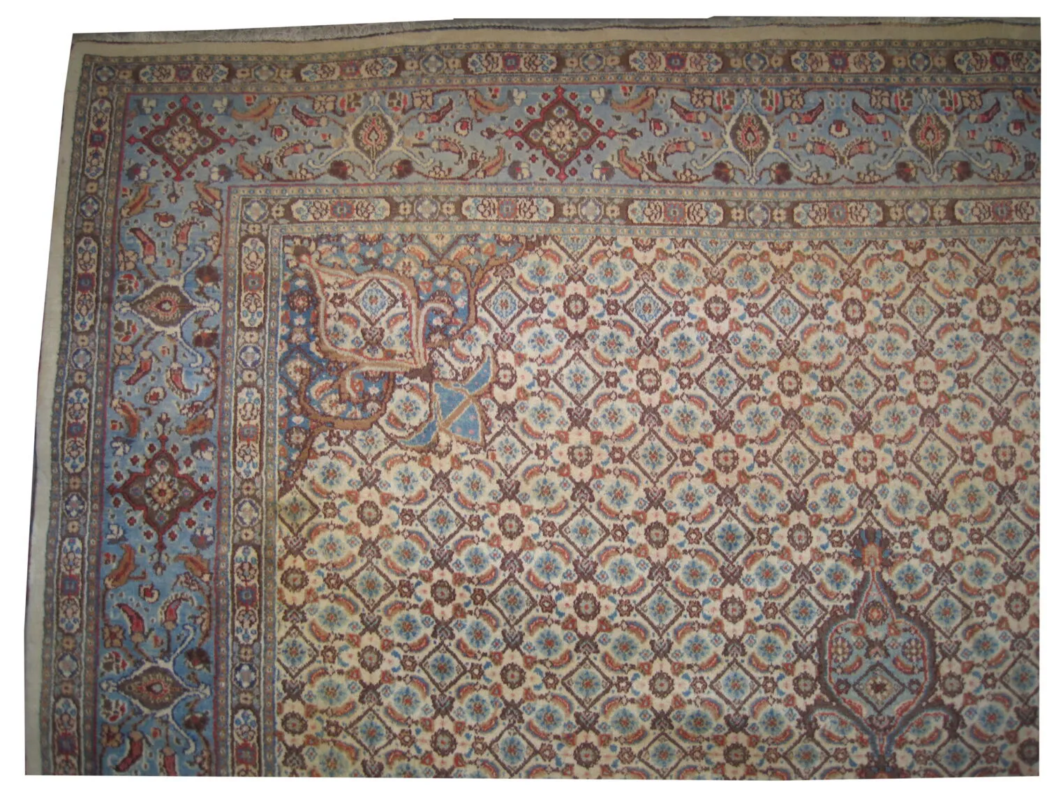 Mud Persian - Image 2