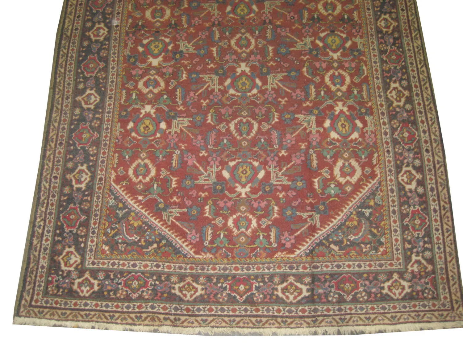 Mahal Persian - Image 4
