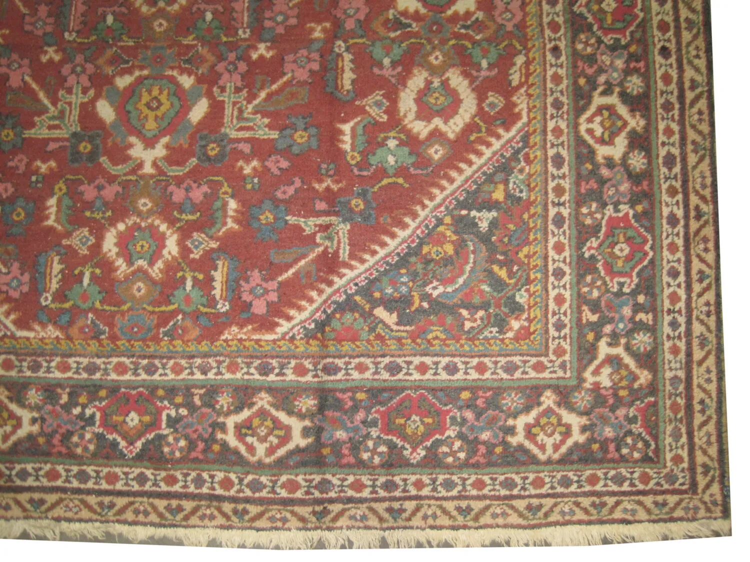 Mahal Persian - Image 3