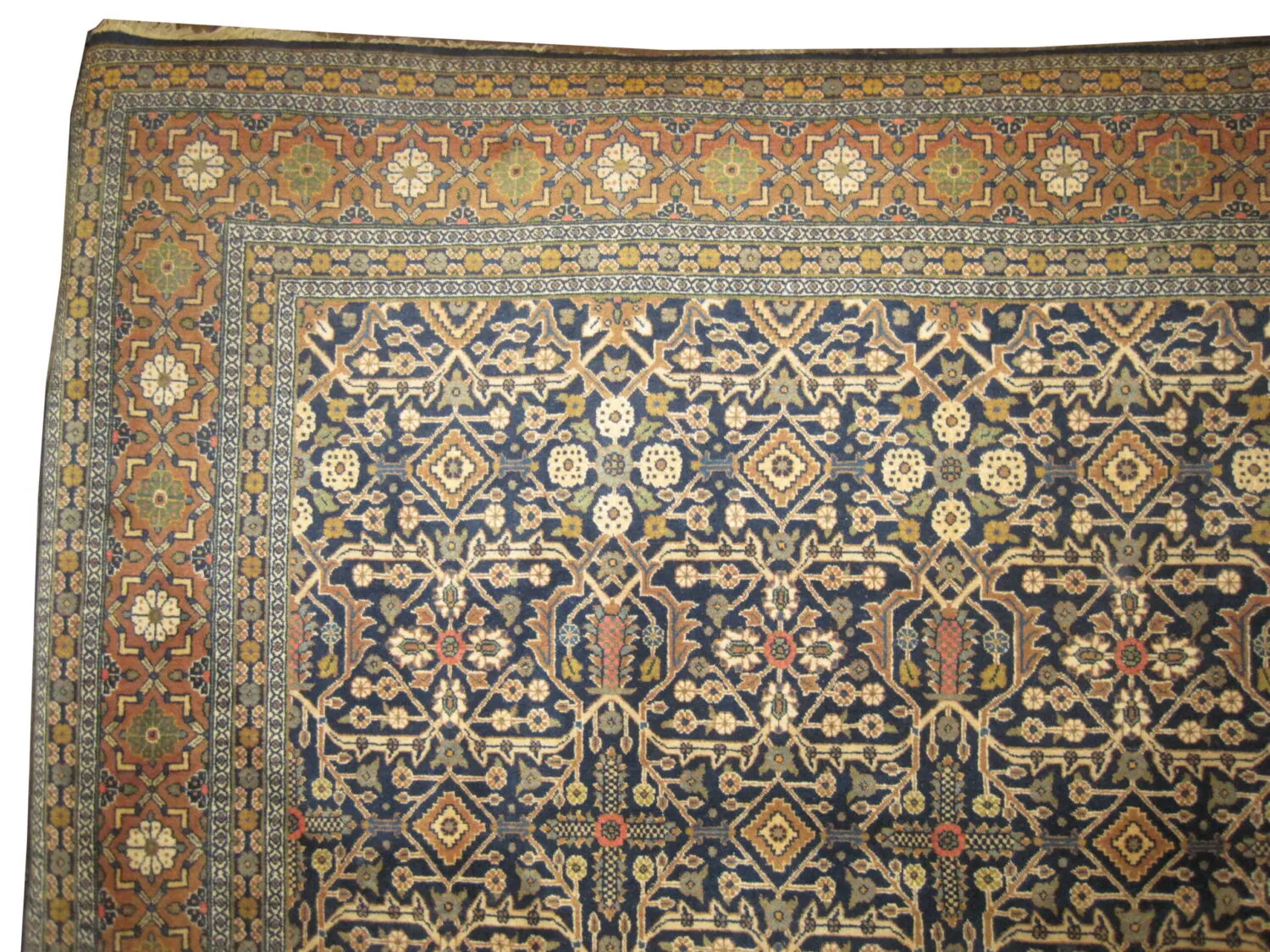 Tabriz Persian - Image 2