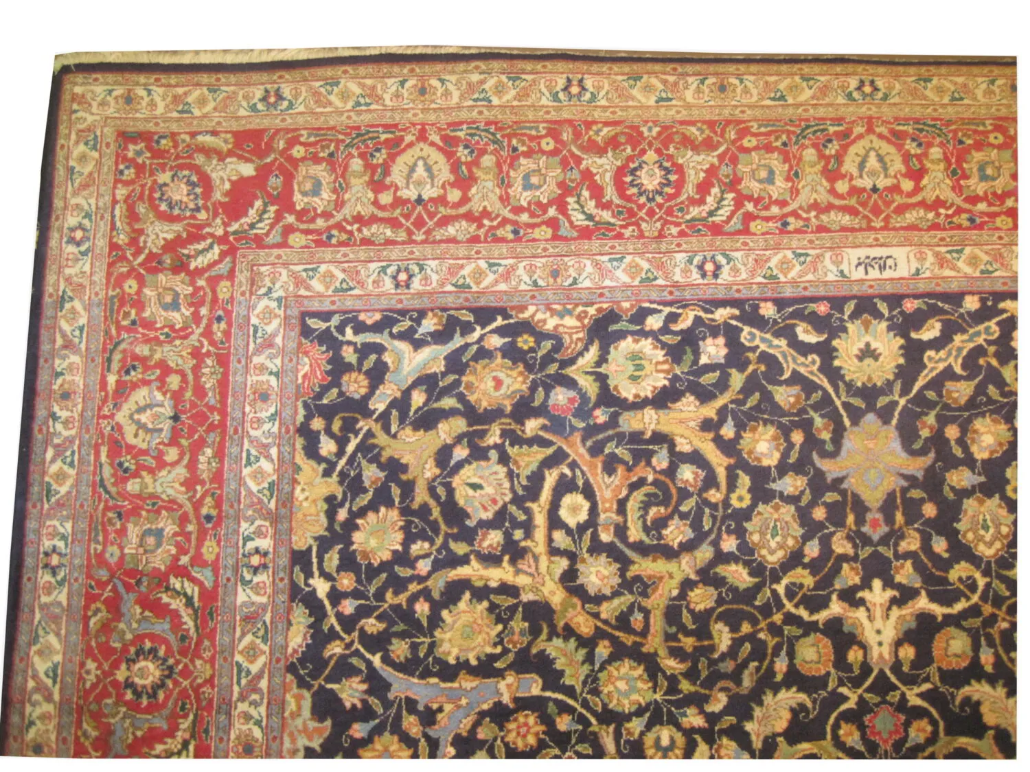 Tabriz Persian - Image 2