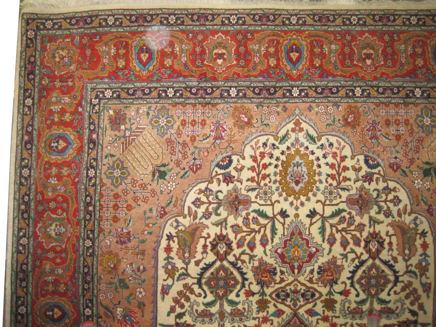 Tabriz Persian - Image 3