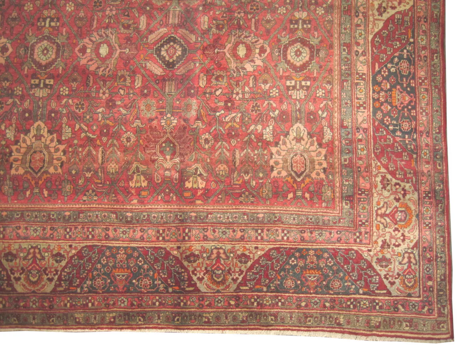 Bidjar Halvai Persian - Image 3