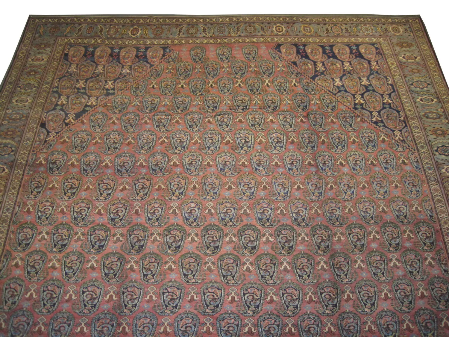 Malaier Persian - Image 3