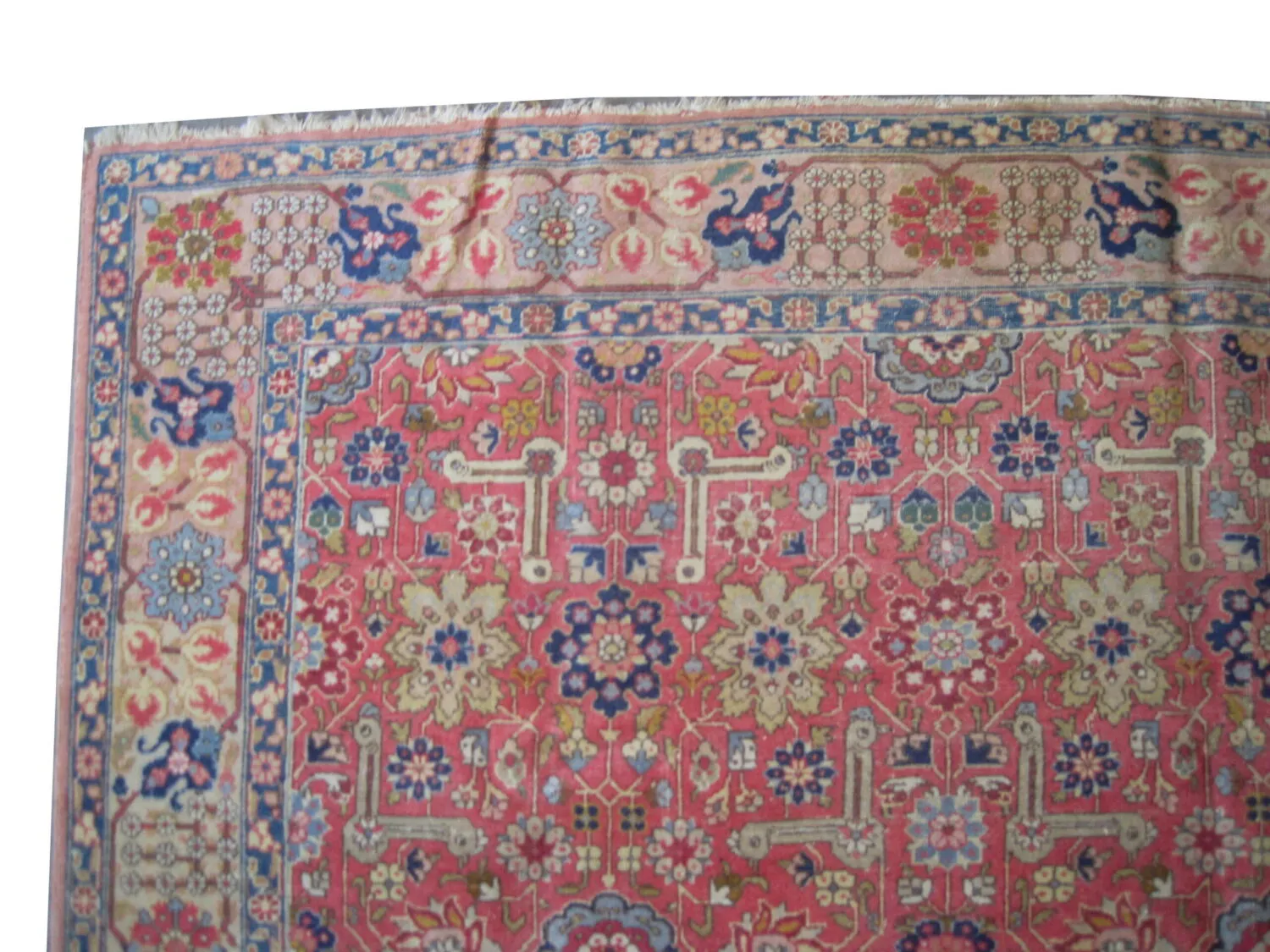 Tabriz Persian - Image 2