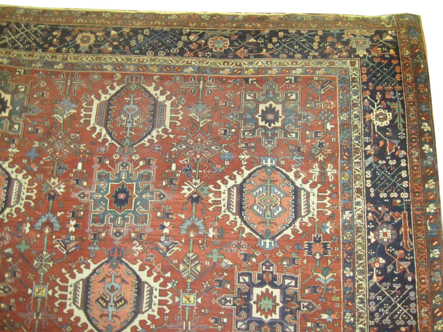 Karadja Persian - Image 2