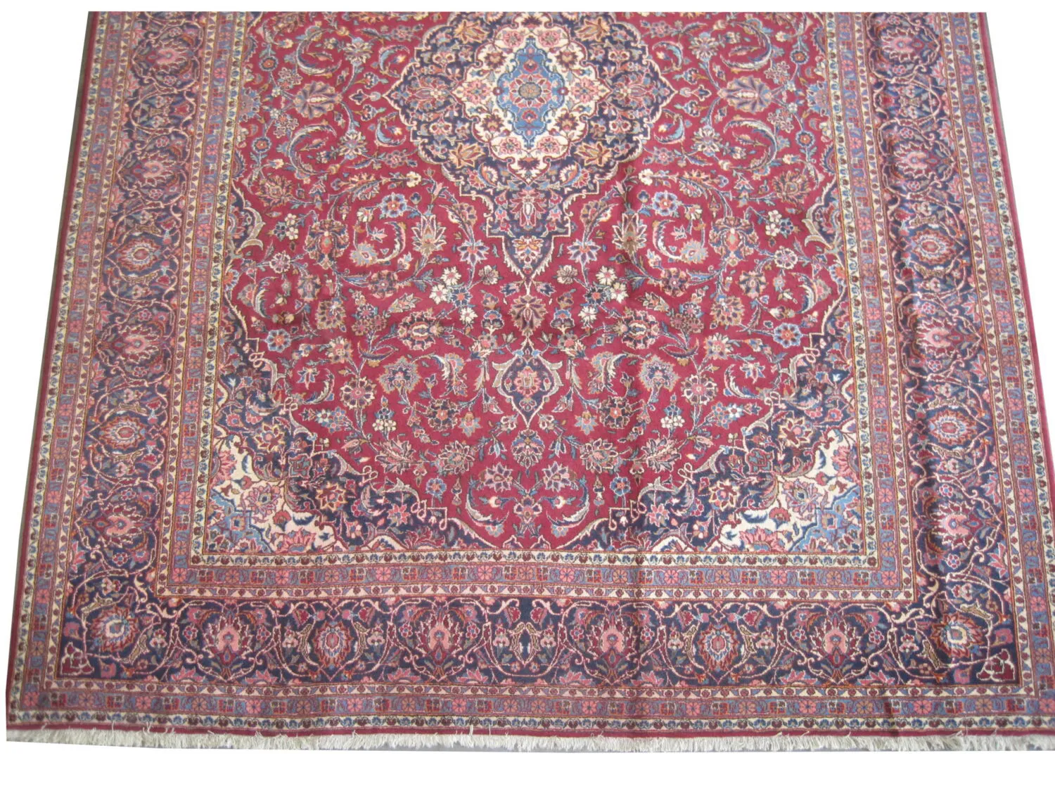 Kashan Persian - Image 2