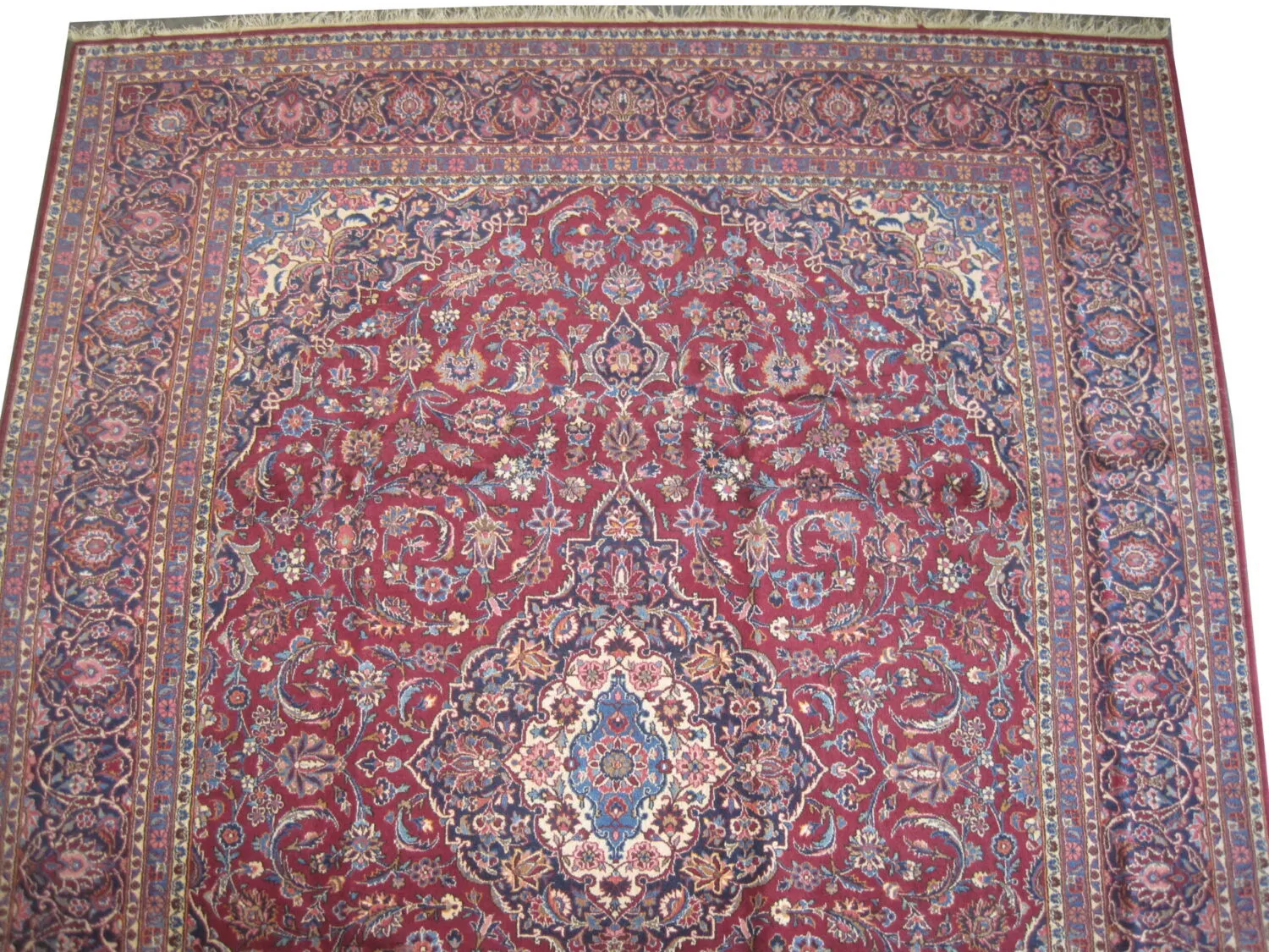 Kashan Persian - Image 3