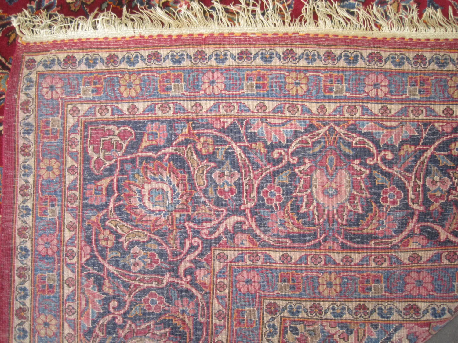 Kashan Persian - Image 4