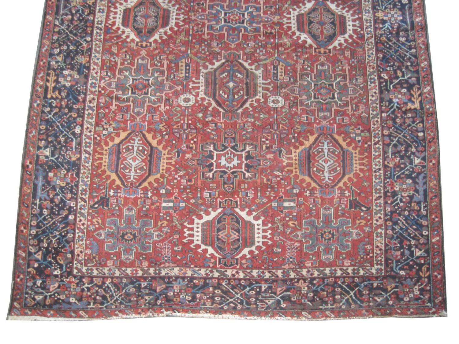 Karadja Persian - Image 3