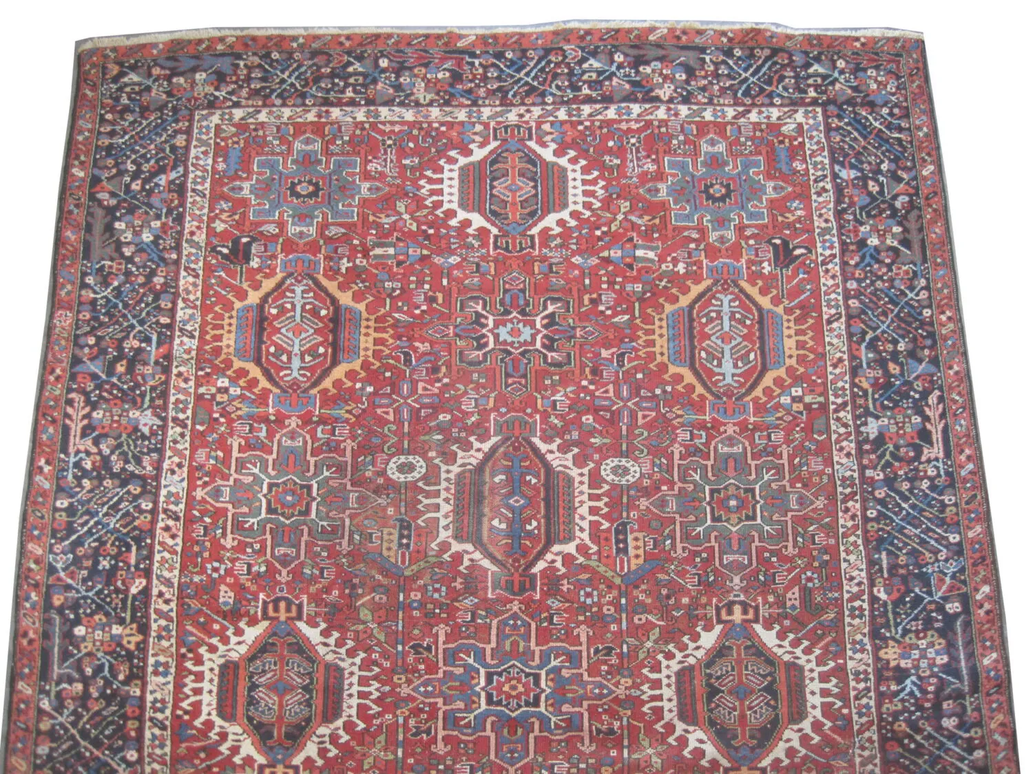 Karadja Persian - Image 2
