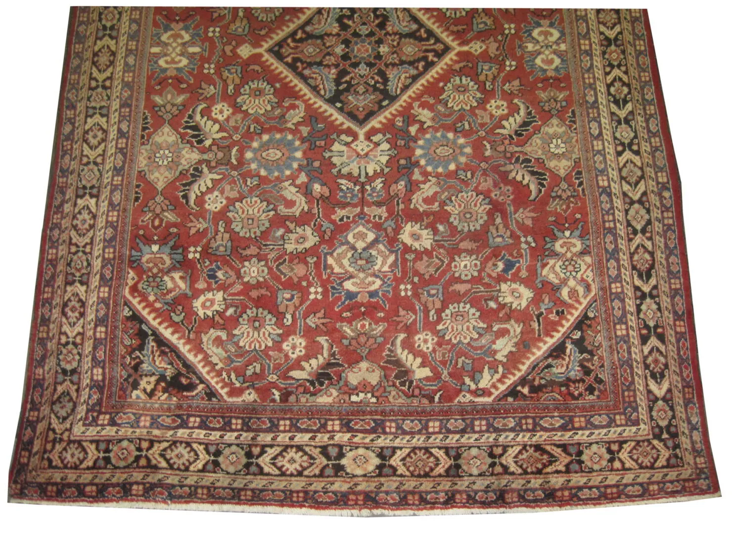 Mahal Persian - Image 3
