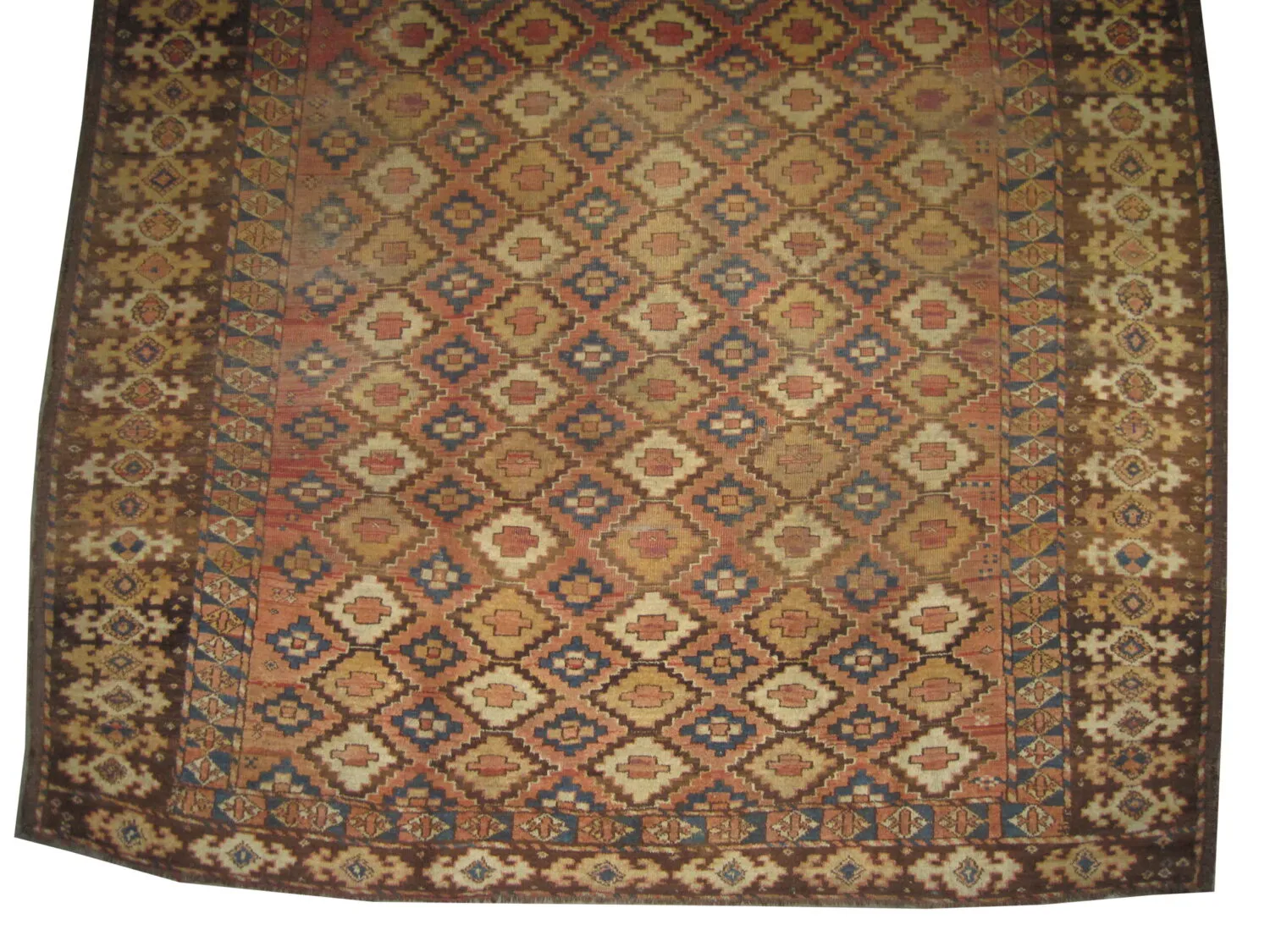 Beshir Turkmen - Image 4