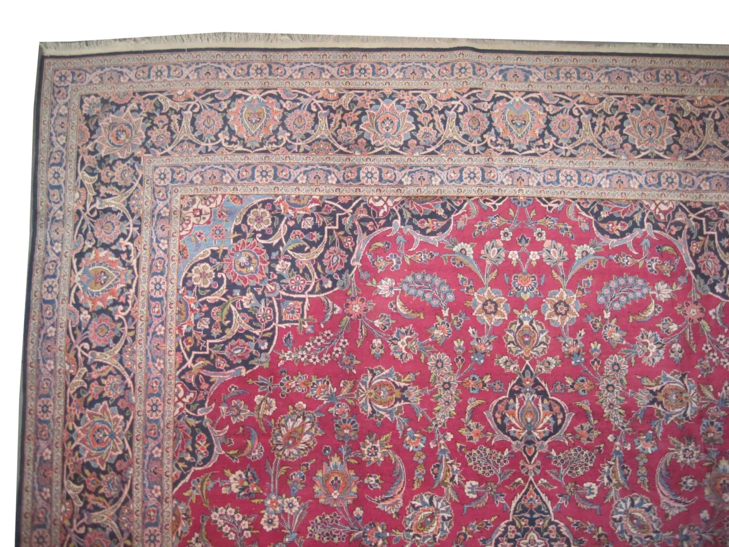 Kashan Persian - Image 3