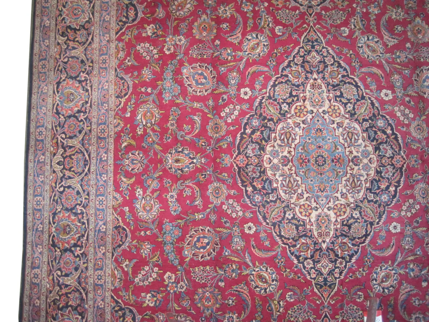 Kashan Persian - Image 2