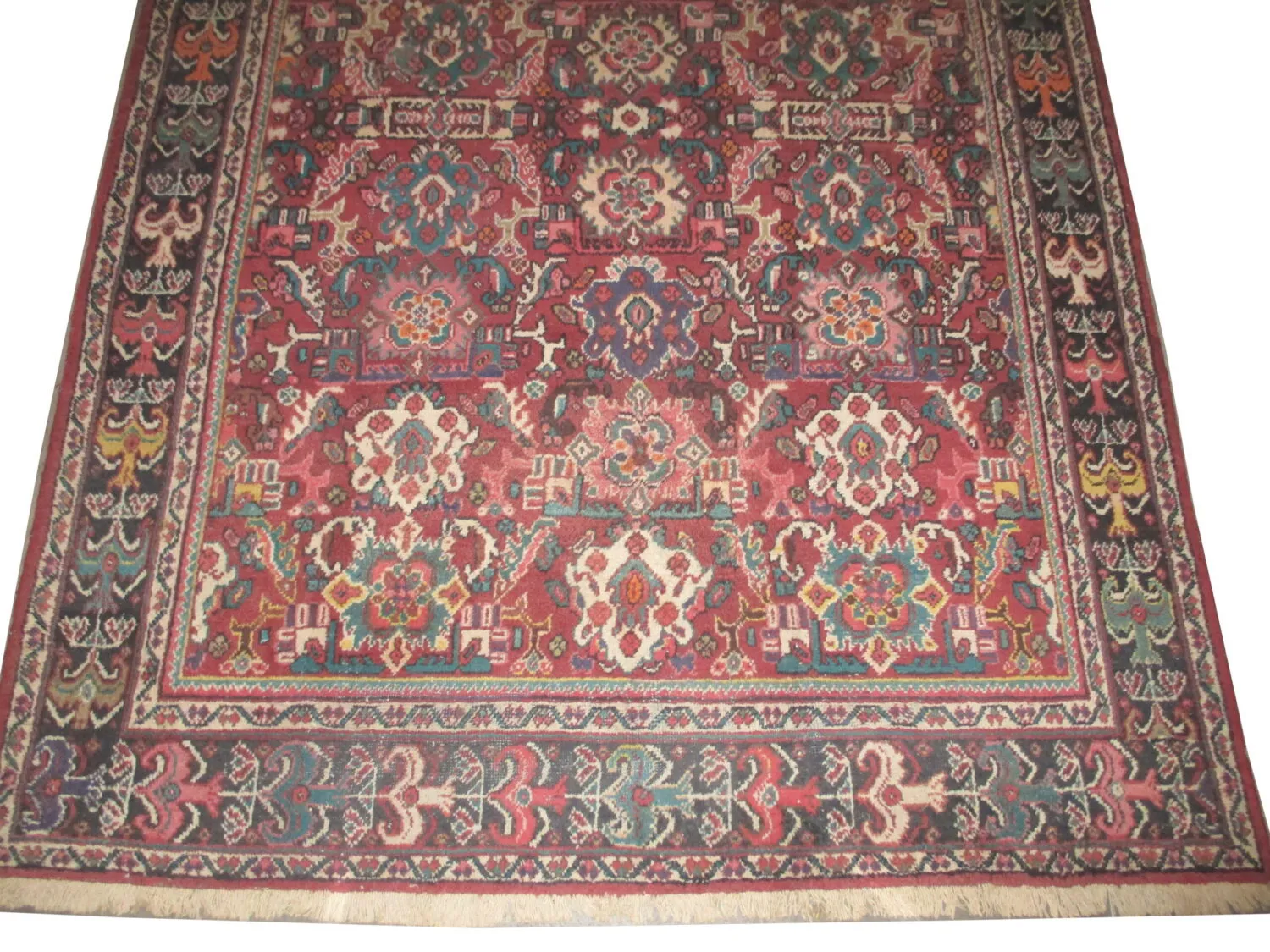 Mahal Persian - Image 3
