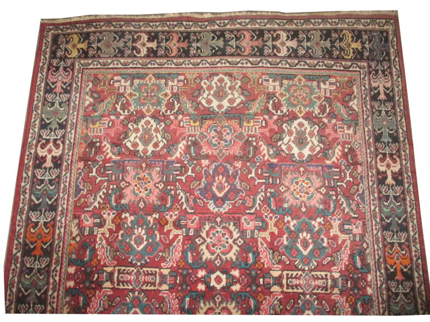 Mahal Persian - Image 2