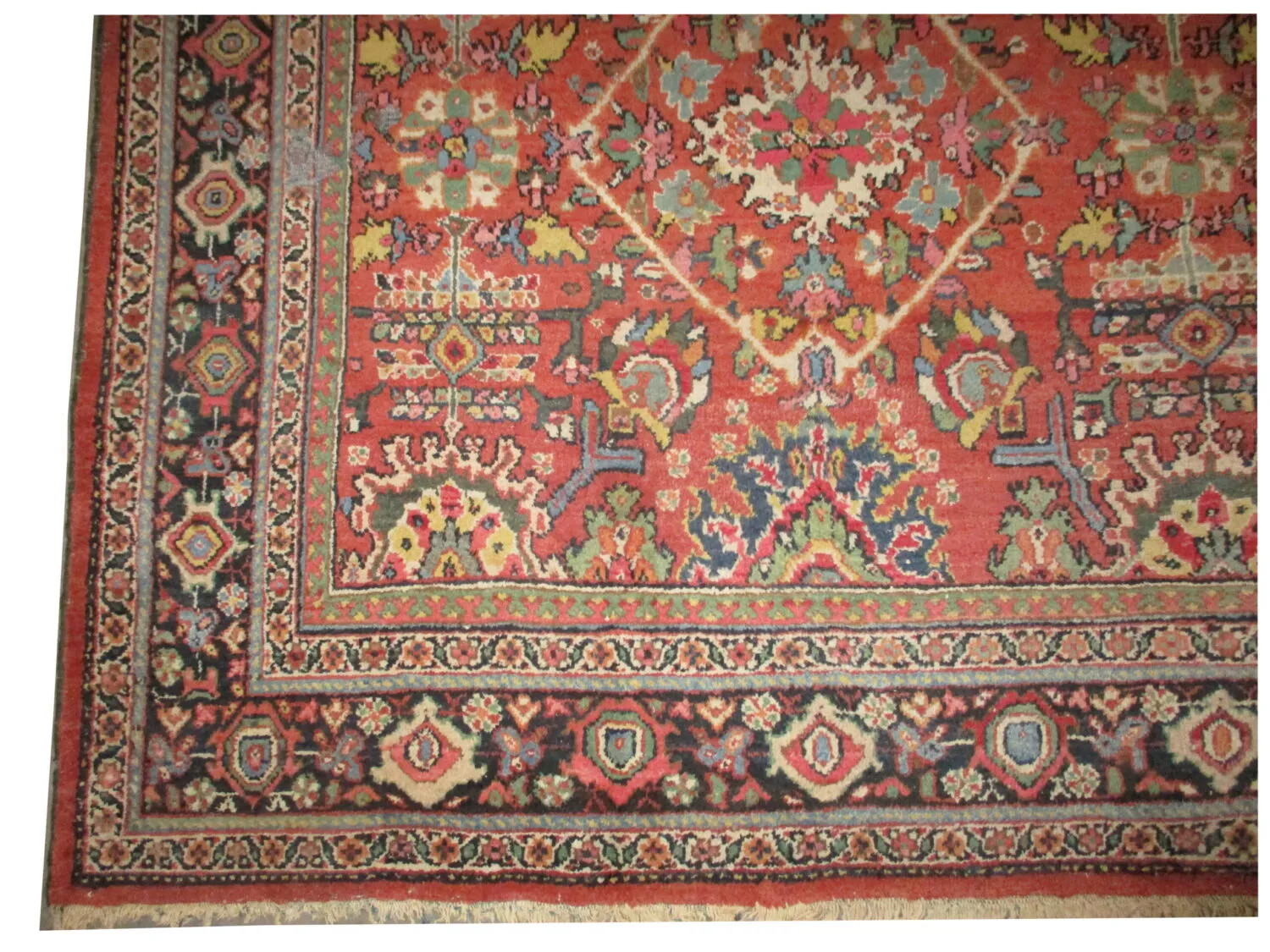 Mahal Persian - Image 3