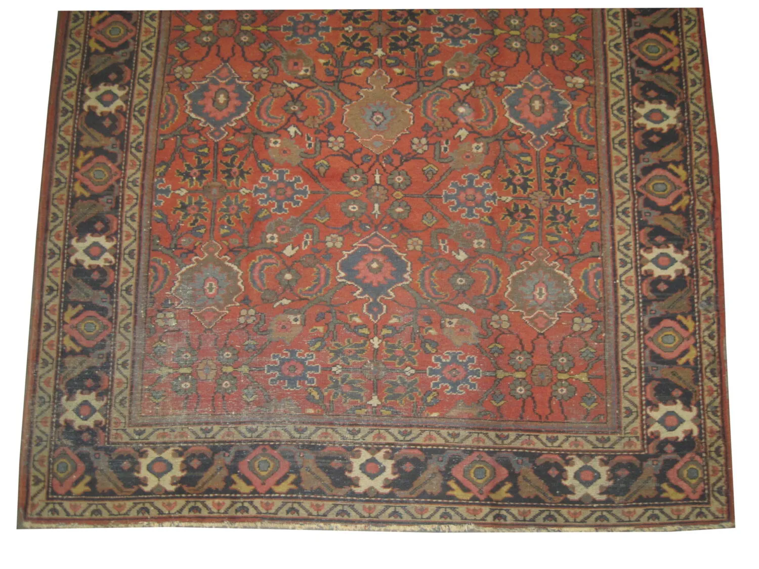 Ziegler Mahal Persian - Image 3