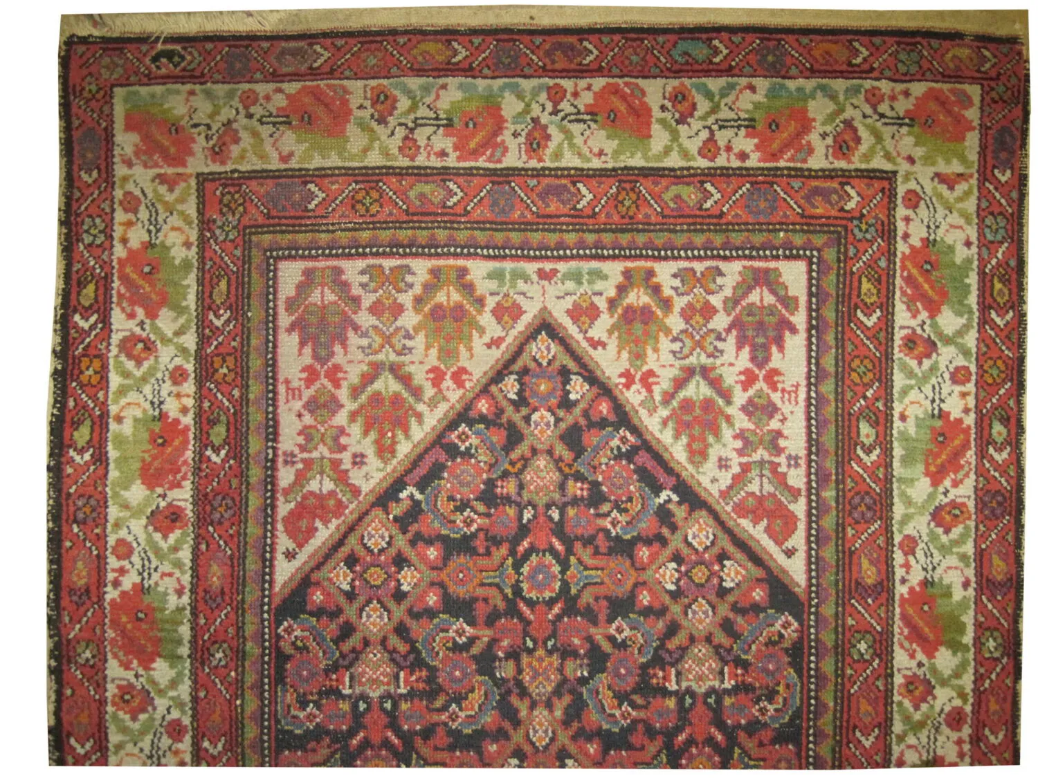 Malaier Persian - Image 3