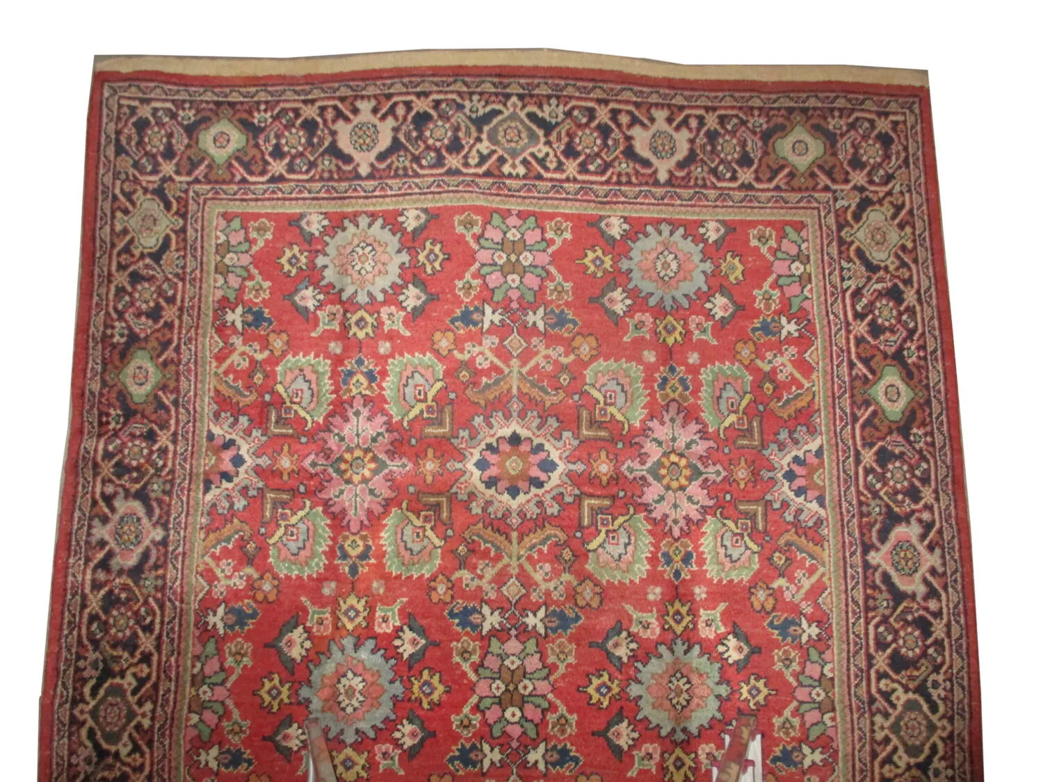 Mahal Persian - Image 3