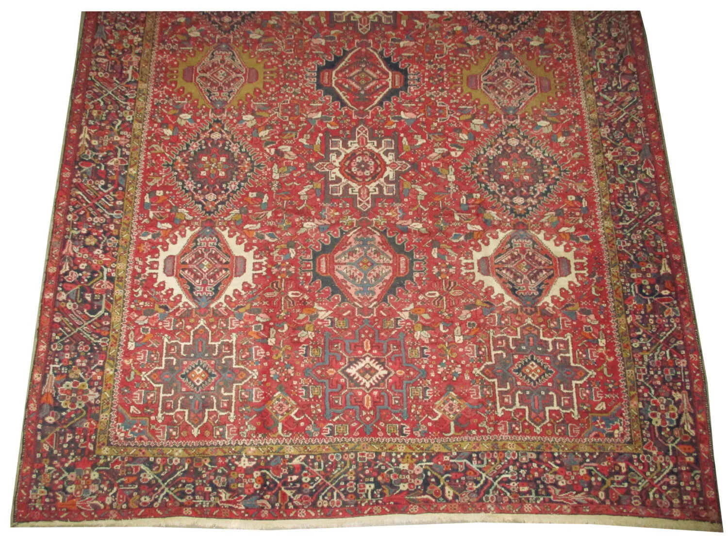 Karadja Persian - Image 3