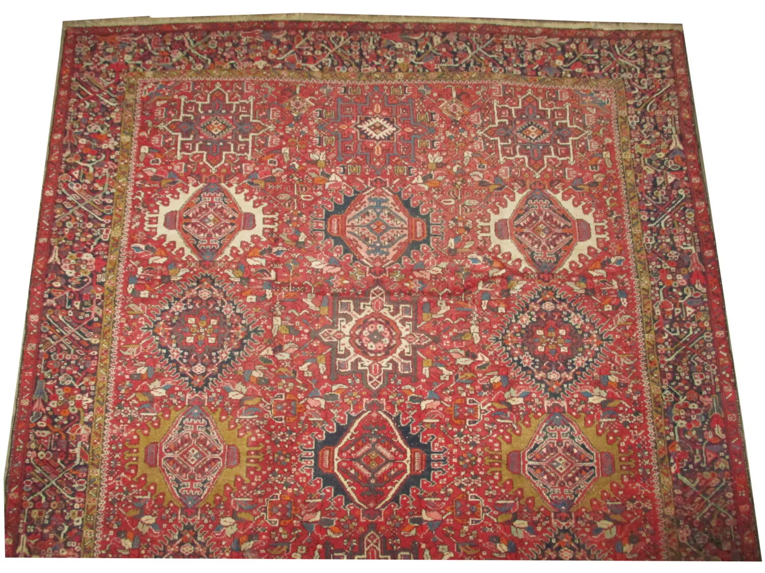 Karadja Persian - Image 2