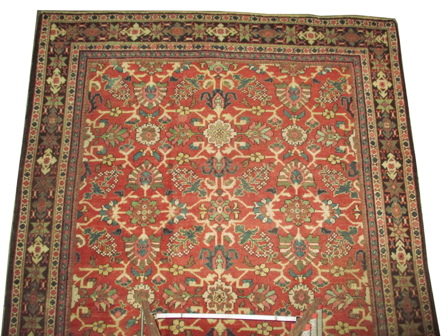 Ziegler Mahal Persian - Image 3