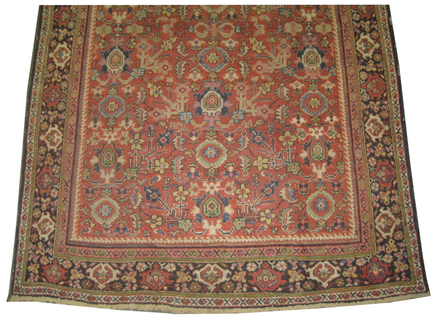 Mahal Persian - Image 3