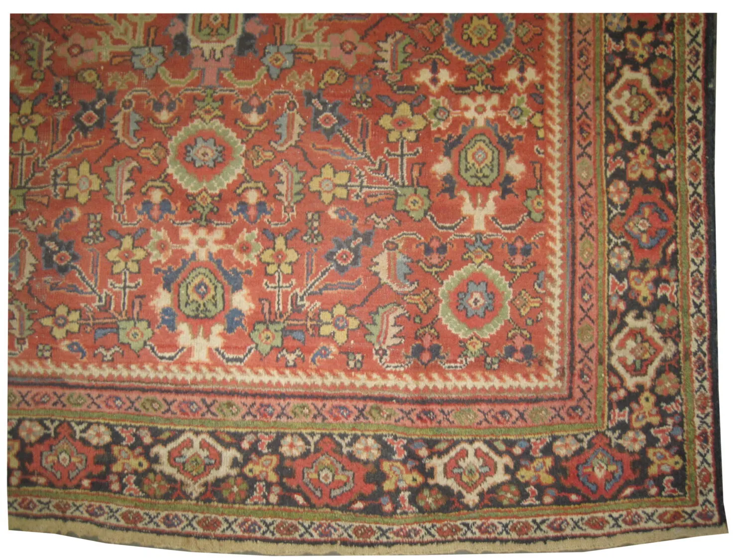 Mahal Persian - Image 2