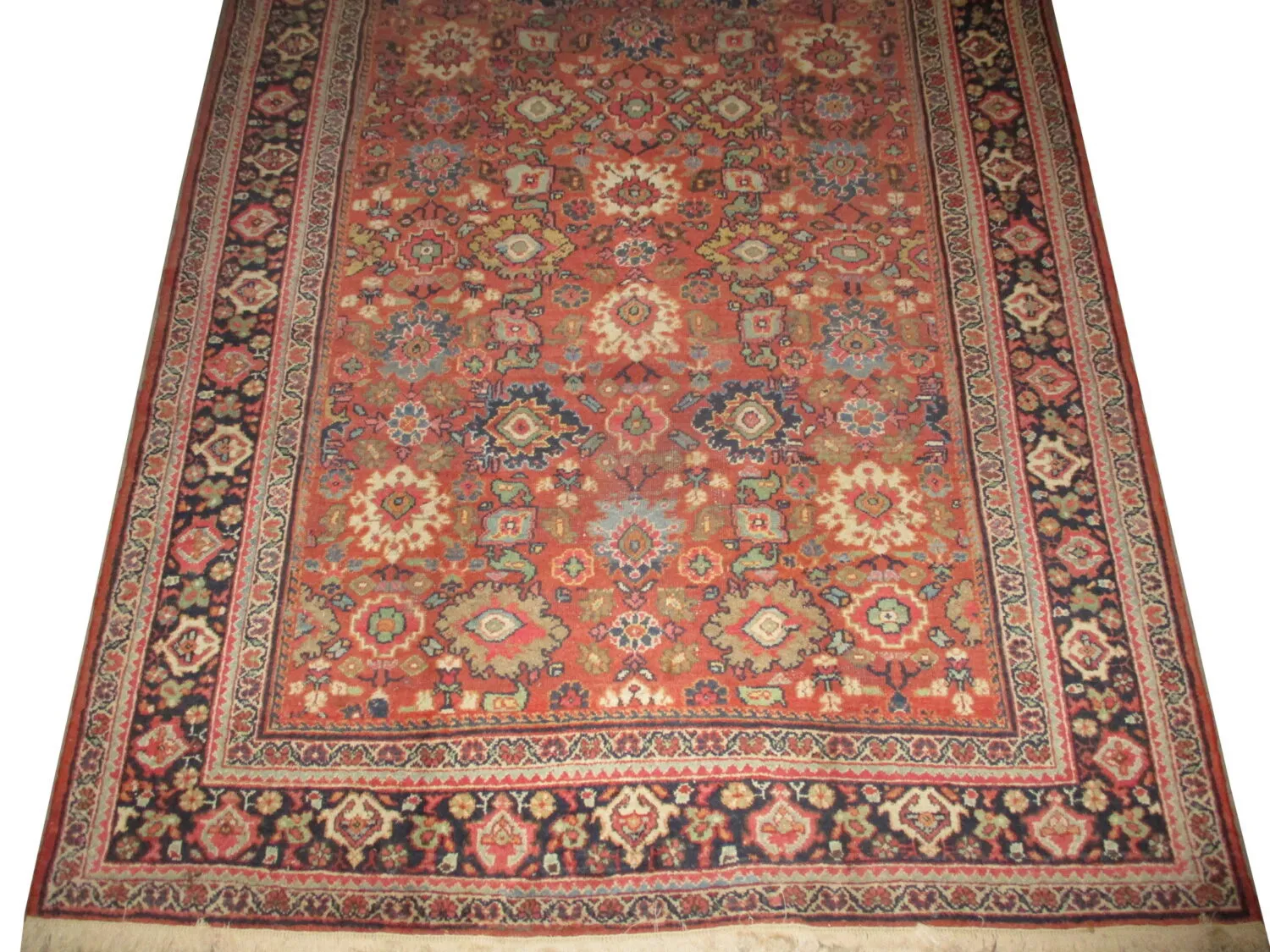 Mahal Persian - Image 3